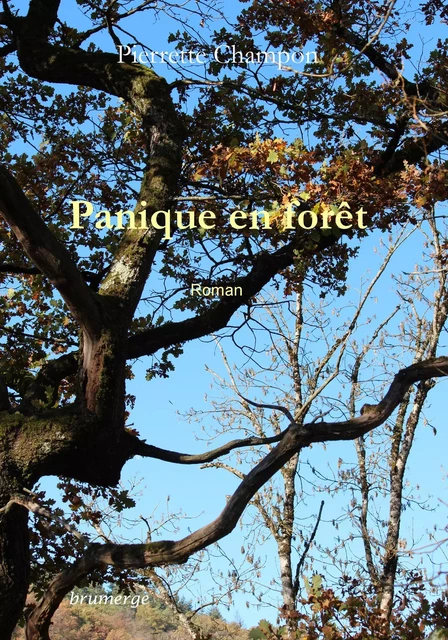 Panique en forêt - Pierrette Champon - BRUMERGE