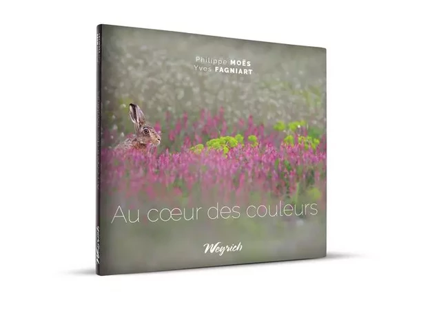 AU COEUR DES COULEURS - Philippe Moës, Yves Fagniart - WEYRICH