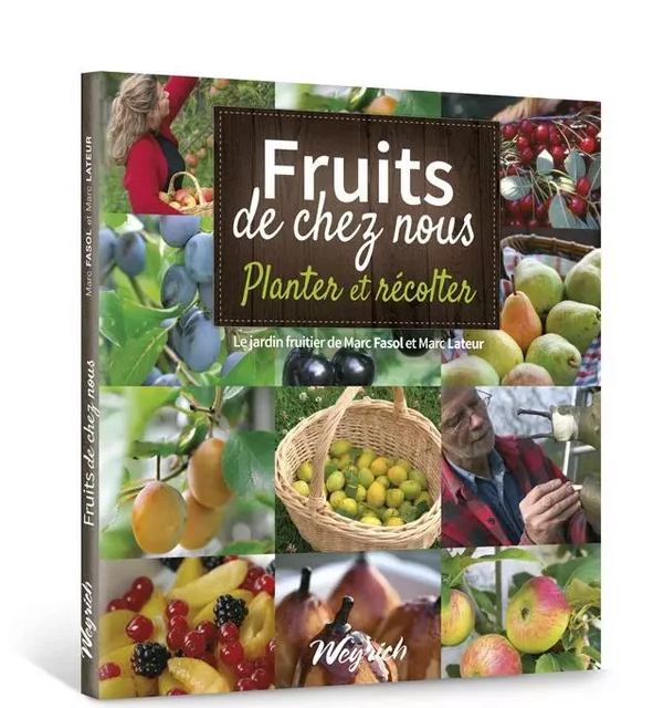 FRUITS DE CHEZ NOUS : PLANTER ET RECOLTER (JARDIN FRUITIER (LE)) -  FASOL-LATEUR - WEYRICH