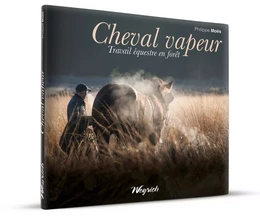 Cheval vapeur