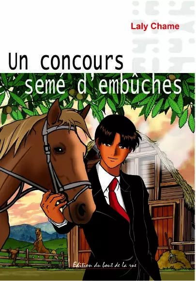 Un concours semé d'embûches - Laly Chame - BOUT RUE