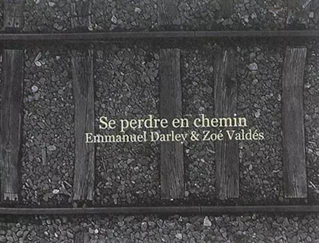 Se perdre en chemin - DARLEY ; VALDES ZOE - NUIT MYRTIDE