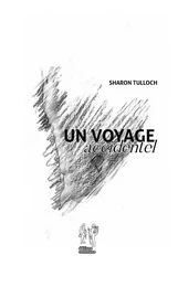 Un voyage accidentel