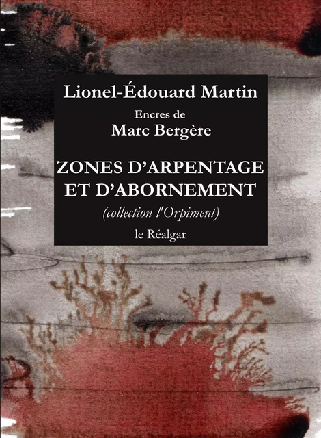 Zones D'Arpentage Et D'Abornement - L-E Martin - LE REALGAR