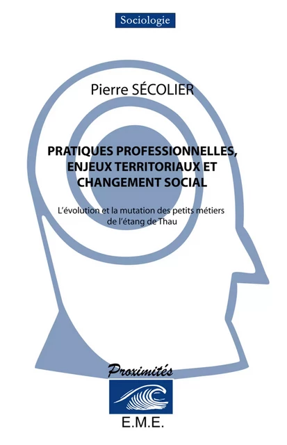 Pratiques professionnelles, enjeux territoriaux et changement social -  - EME Editions