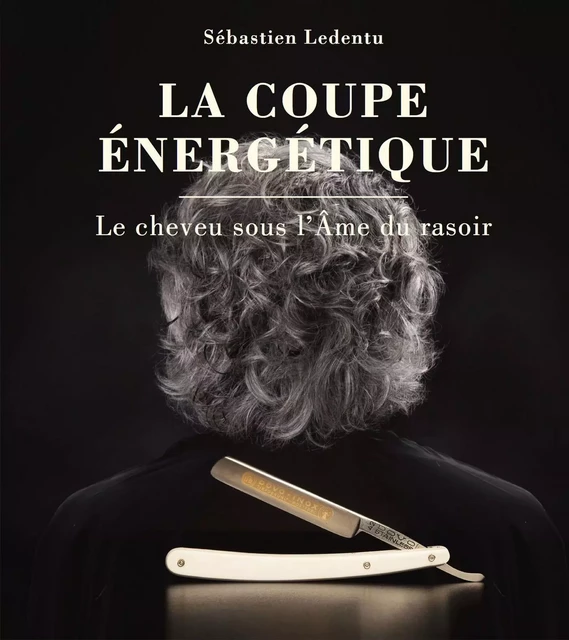 La coupe énergétique - Sébastien Ledentu - AMYRIS