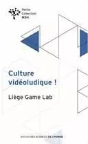 Culture vidéoludique !