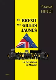 Du brexit aux gilets jaunes - la révolution en marche