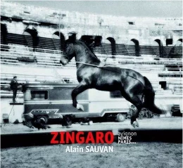 Zingaro