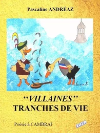 "VILLAINES" TRANCHES DE VIE