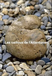 Les cailloux de l'Atlantique