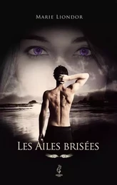 Les Ailes brisées