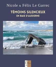 Témoins silencieux en baie d'Audierne