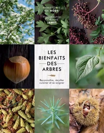 Les bienfaits des arbres