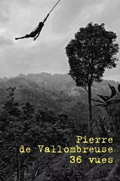 Pierre de Vallombreuse / 36 vues