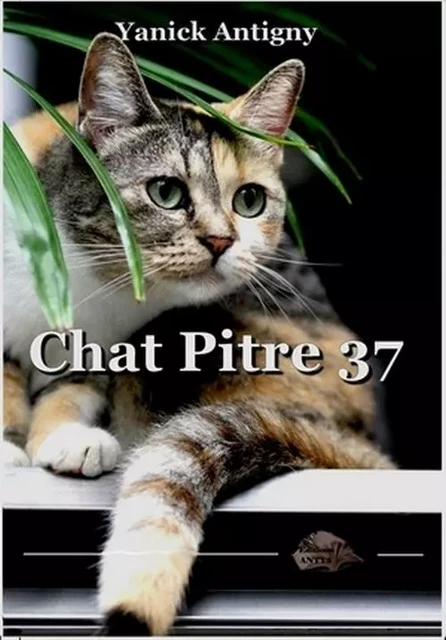 Chat Pitre 37 - Yanick Antigny - ANTYA