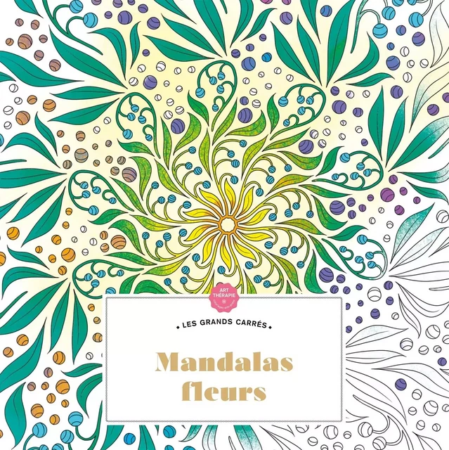 Mandalas fleurs -  - HACHETTE HEROES