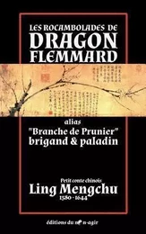 Les rocambolades de Dragon Flemmard alias "Branche de Prunier" brigand & paladin