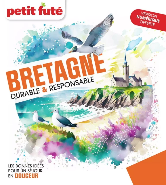 Bretagne Durable et Responsable Petit Futé - Dominique Auzias, Jean-Paul Labourdette - PETIT FUTE