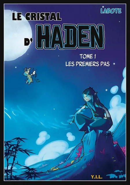 Le Crystal d'Haden T1 Les Premiers Pas -  LABOTE - YIL