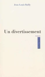 Un divertissement, roman