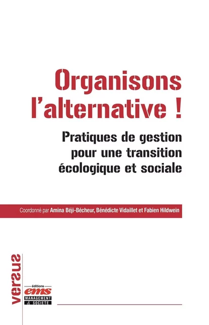 Organisons l'alternative ! - Amina Béji-Bécheur, Bénédicte Vidaillet, Fabien Hildwein - EMS GEODIF