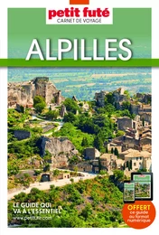 Guide Alpilles 2023 Carnet Petit Futé