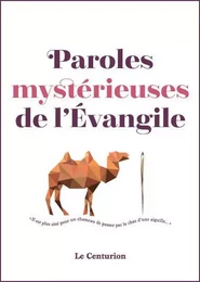 Paroles mystérieuses de l'évangile