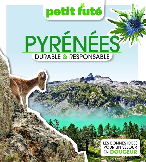 Pyrénées Durable & Responsable 2023 Petit Futé -  Auzias d. / labourdette j. & alter - PETIT FUTE