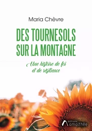 Des tournesols sur la montagne