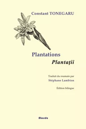 Plantations / Plantatii