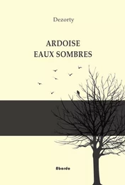 Ardoise Eaux sombres