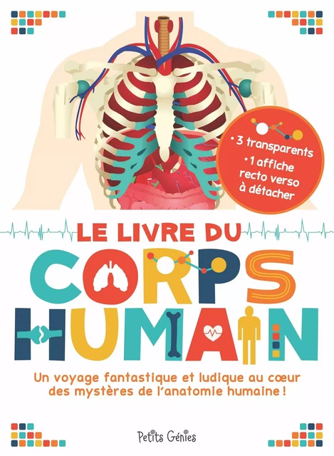 Le livre du corps humain - Maud Brougere - PETITS GENIES