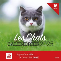 Les chats - Calendrier 2025