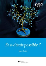 Et si c'était possible ?