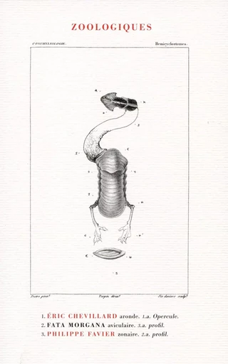 Zoologiques - Eric Chevillard - Fata Morgana