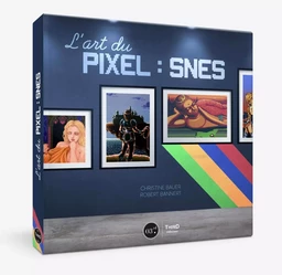 L'art du Pixel : SNES