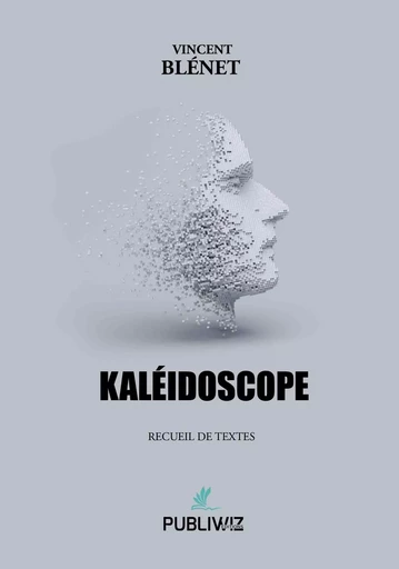 Kaléidoscope - Vincent Blénet - PUBLIWIZ