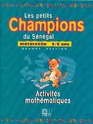 Maternelle 5/6 ans / activités mathématiques