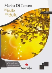 De bulle en bulle