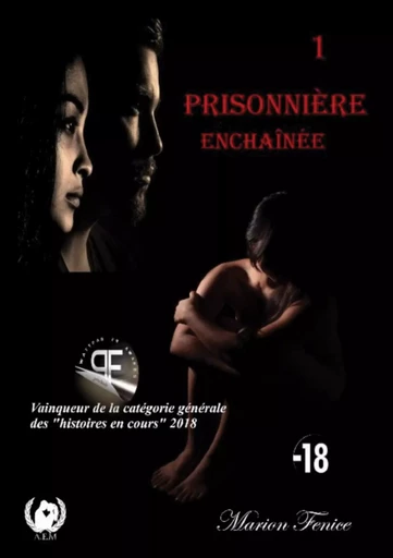 Prisonnière - Marion Fenice - ART EN MOTS