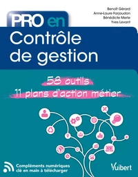 Pro en Contrôle de gestion