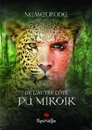 De l'autre côté du miroir