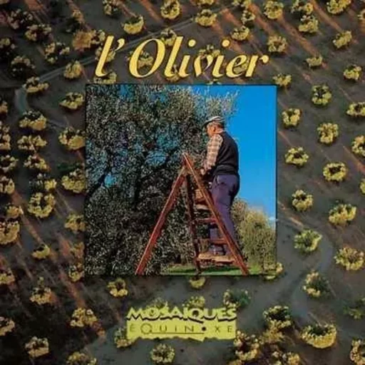 L'olivier -  - EQUINOXE