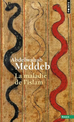 Points Essais La Maladie de l'islam - Abdelwahab Meddeb - POINTS EDITIONS