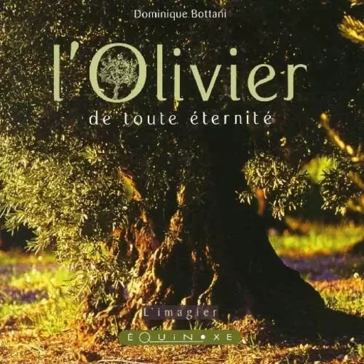 L'olivier de toute éternité -  - EQUINOXE