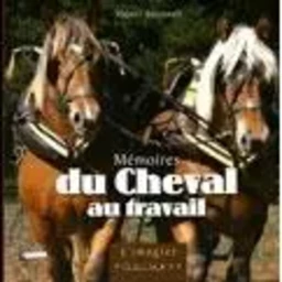 Mémoires du cheval au travail