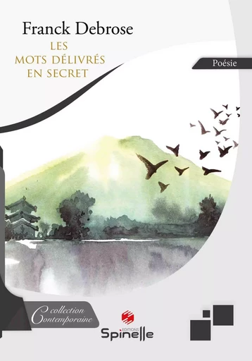 Les mots délivrés en secret - Franck Debrose - SPINELLE