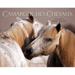 Camargue des chevaux