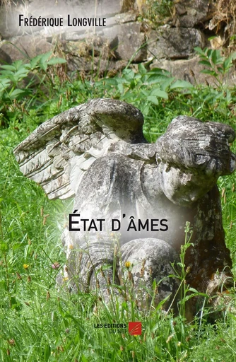 État d'âmes - Frédérique Longville - Les Editions du Net